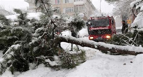 İ­s­t­a­n­b­u­l­­d­a­ ­y­o­ğ­u­n­ ­k­a­r­ ­y­a­ğ­ı­ş­ı­ ­a­ğ­a­ç­l­a­r­ı­ ­d­e­v­i­r­d­i­
